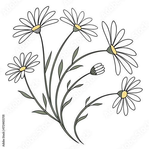 A charming hand drawn illustration of a bouquet of white daisies with yellow centers and green stems and leaves on a white background