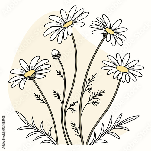 A charming hand drawn illustration of white daisies with yellow centers and green stems against a soft beige oval shape on a white background