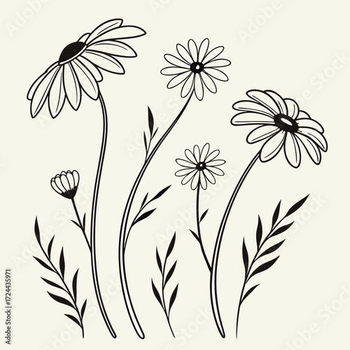 A delicate black and white line drawing of a cluster of daisies and leaves on a cream background perfect for graphic design and illustration projects