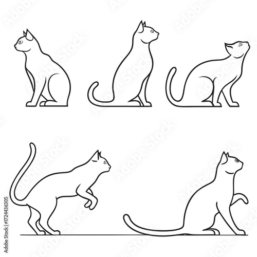 Collection of five stylized black and white line art illustrations of cats in various poses showing different feline movements and sitting positions