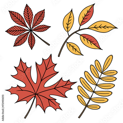 Collection of four stylized autumn leaves including a maple leaf a horse chestnut leaf and two branches with leaves in red and yellow colors on a white background