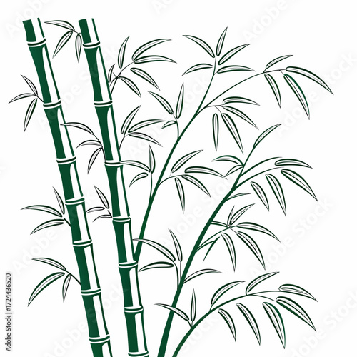 Elegant dark green bamboo stalks with delicate leaves create a minimalist and serene natural composition on a clean white background evoking tranquility and asian aesthetics