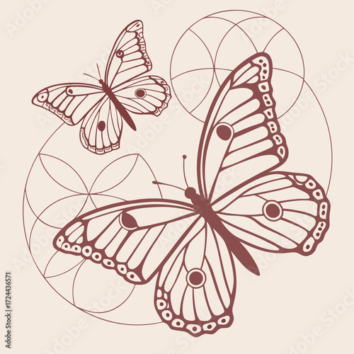 Elegant line art illustration of two stylized butterflies in flight with geometric floral patterns in a soft neutral background color palette