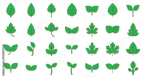 daun hijau