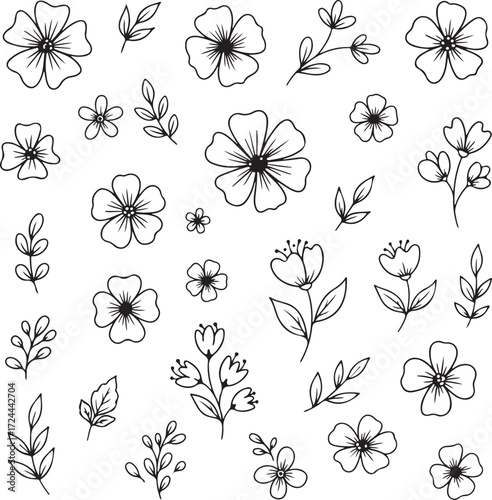 Delicate Floral Outlines: A collection of elegantly drawn floral motifs, showcasing a variety of detailed flower blooms and leafy sprigs in a minimalist, refined style.