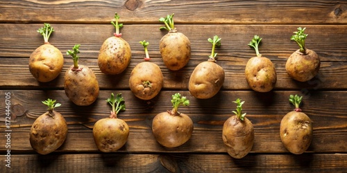Fresh Raw Potatoes Sprouting on Rustic Wooden Table Surface