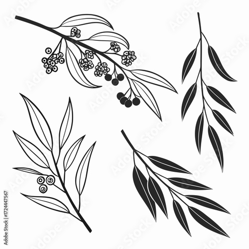 A collection of four stylized black and white botanical illustrations of eucalyptus branches with leaves and berries on a white background