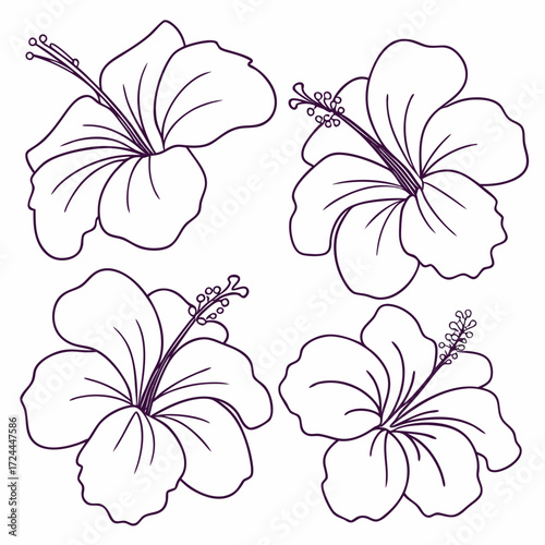 A collection of four stylized outline drawings of hibiscus flowers with prominent stamens and pistils against a white background