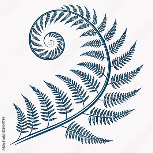 A stylized dark blue fern frond unfurling in a graceful spiral pattern against a soft white background representing nature s elegance and growth