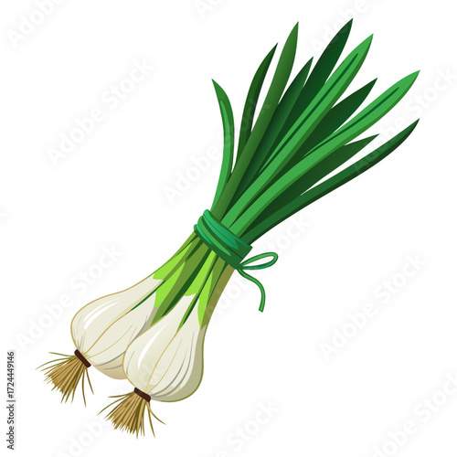 A tight bundle of fresh spring onions with long green tops and white roots, tied with a simple string. Shot against a clean white background, sharp focus from root to tip