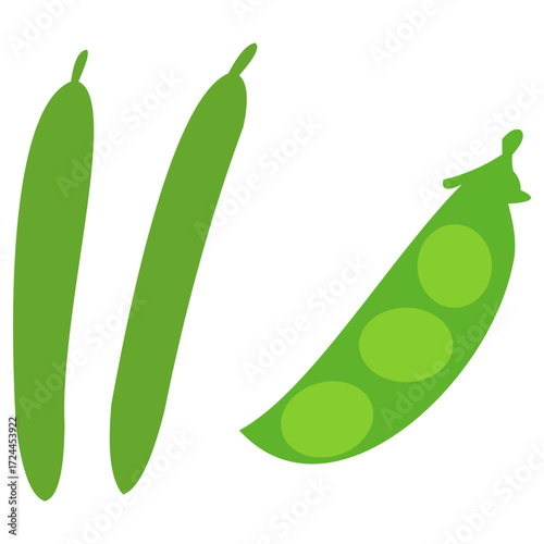 Fresh green beans with pea pod illustration, perfect for salad recipe, vegetarian cuisine, farm produce, and healthy meal concept.

