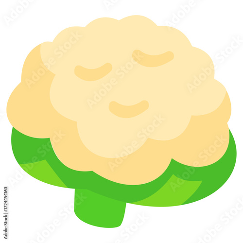 Fresh cauliflower illustration, perfect for healthy food design, vegetarian recipe, farm fresh product, and organic vegetable concept.
