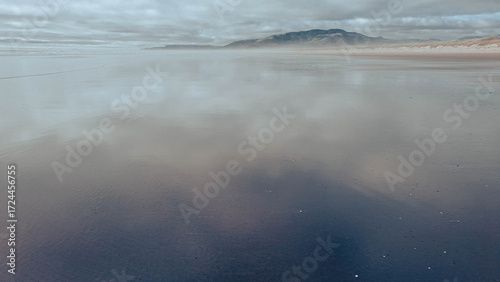 View northward along a beach towards a distant ridge covered in a dark pine forest, with the cloudy and  mysterious sky reflected on the wet sand. 