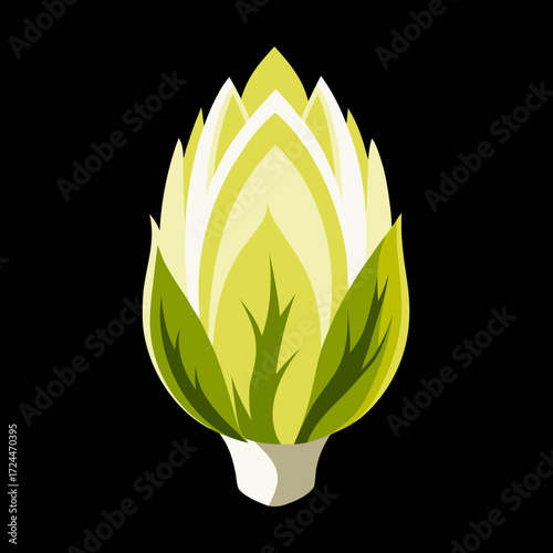 A single head of Belgian endive with pale yellow, tightly packed leaves, isolated on a black background. Elegant and bitter vegetable, minimalist composition, sharp studio lighting.