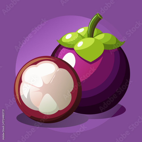 The dark purple, thick-rinded mangosteen, one whole and one opened to reveal the bright white, segmented arils inside. On a purple background, tropical queen of fruits concept.
