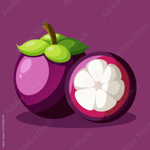 The dark purple, thick-rinded mangosteen, one whole and one opened to reveal the bright white, segmented arils inside. On a purple background, tropical queen of fruits concept.