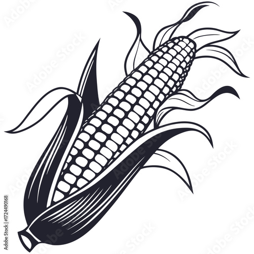 ear of corn
