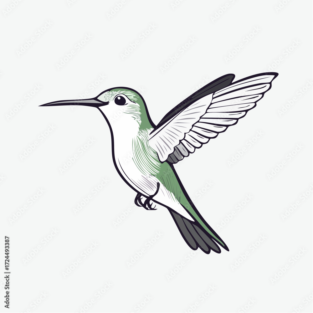 Obraz premium Serene Monochromatic Line Art Hummingbird Minimalist Vector Illustration