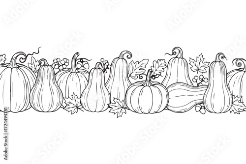 Assortment of pumpkins and gourds in a decorative border isolated on Transparent Background