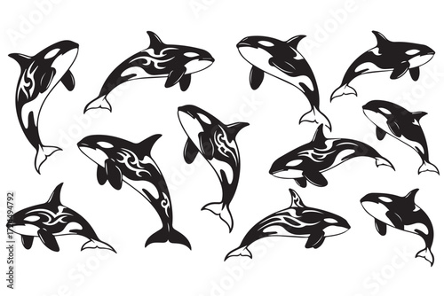 Group of black orca whale silhouettes swimming in various positions isolated on Transparent Background