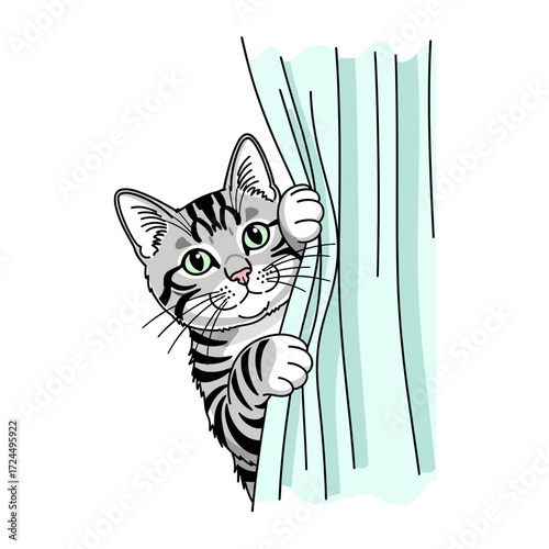 Mischievous silver tabby cat peeking from behind a curtain. A playful and cute illustration of a curious pet in a home setting.
