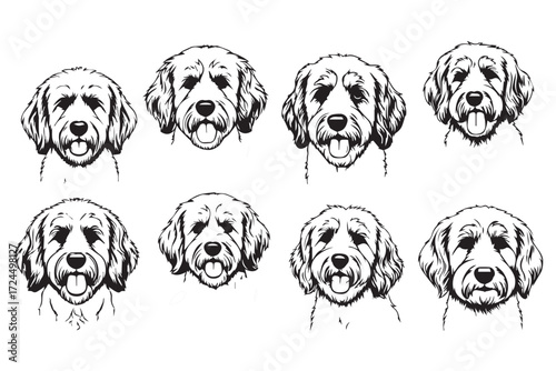 Collection of eight black and white sketches of golden retriever dog faces