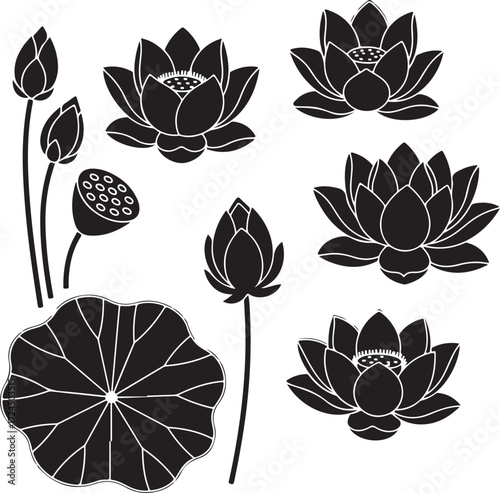 Lotus Flower Silhouettes: Elegant, black and white silhouettes of lotus flowers and leaves in a simple, graphic style. Ideal for design projects.