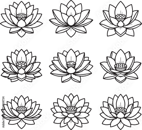 Lotus Petals in Harmony: Nine delicate lotus flowers, each a masterpiece of nature's artistry, unfurl their petals in a mesmerizing display, their elegant forms echoing tranquility and inner peace.