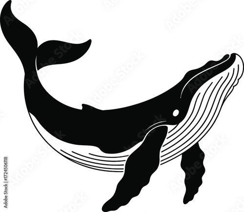Majestic whale swimming gracefully in the ocean black and white silhouette design