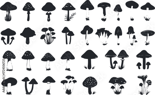 Collection of diverse mushroom silhouettes natural fungi woodland elements botanical variety