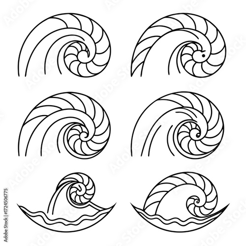 A collection of six stylized black and white line art illustrations of nautilus shells and swirling ocean waves representing natural patterns and marine life