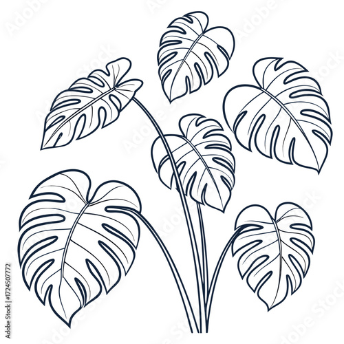 A minimalist outline illustration of several monstera deliciosa leaves with their characteristic fenestrations and stems on a clean white background