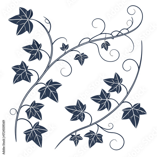 Decorative dark blue ivy vine with swirling tendrils and pointed leaves on a clean white background elegant botanical illustration for design elements