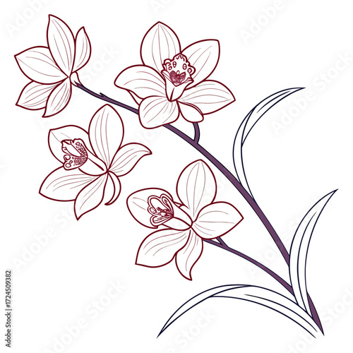 Delicate line art illustration of a blooming orchid branch with dark red outlines and purple accents on a clean white background showcasing intricate floral details and elegant simplicity