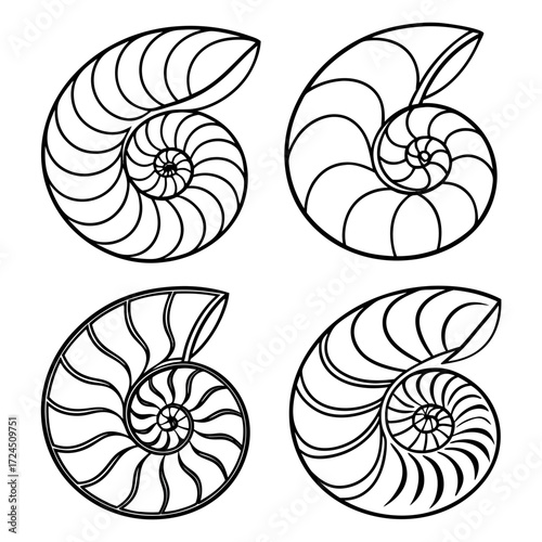 Four stylized black and white line art illustrations of nautilus shell cross sections arranged in a two by two grid on a white background
