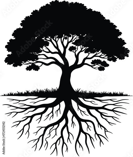 Striking silhouette of a vibrant tree with deeply exposed roots