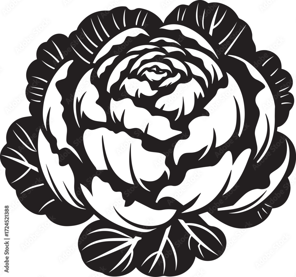 Obraz premium Cabbage icon clean simple