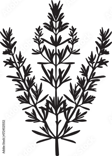 Rosemary, food clean simple silhouette
