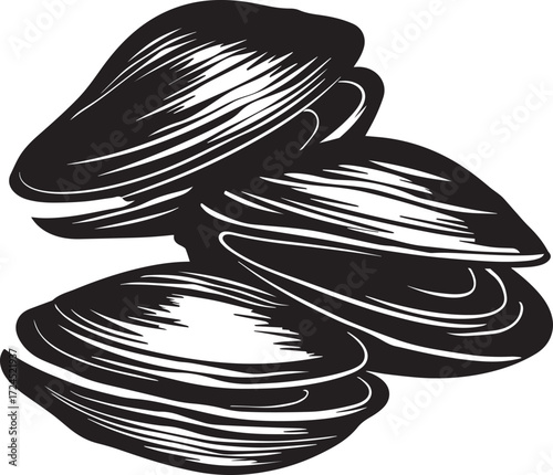 Clams icon clean simple