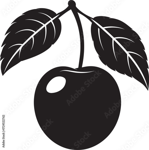 Apricot fruit icon clean simple silhouette