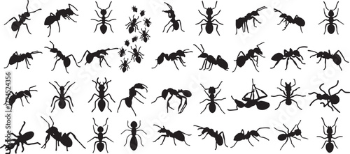 ant, ants, insect, insects, bug, creature, animal, wildlife, silhouette, icon, design, element, graphic, set, collection, isolated, white background, macro, crawling, marching, group, swarm, small, bl