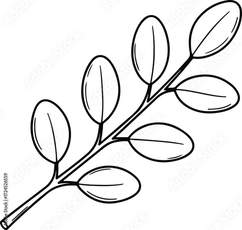 Vector branch with small rounded leaves detailed silhouette design