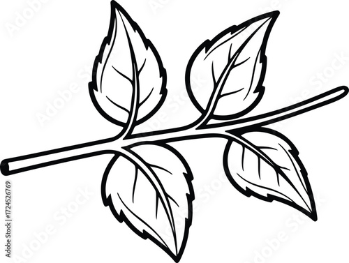 Vector decorative branch with four leaves outline style silhouette design