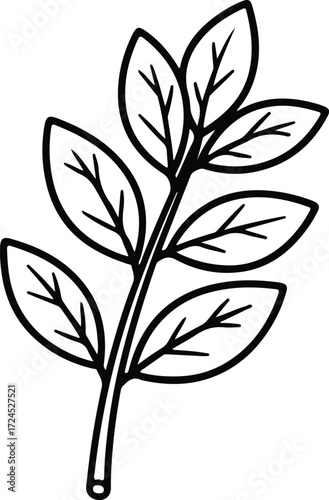 Vector hand drawn branch with leaves botanical silhouette design