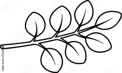 Vector Leaf branch with round leaves botanical silhouette design
