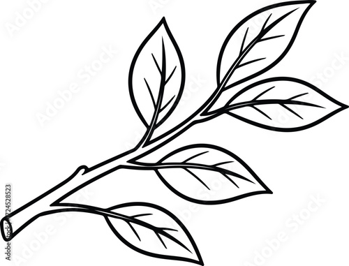 Vector leaves branch outline botanical illustration silhouette design