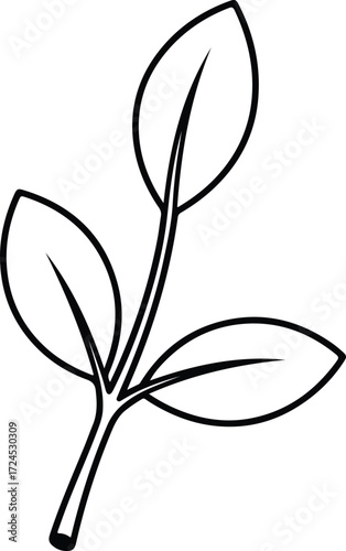 Vector Simple botanical branch with leaves outline silhouette design