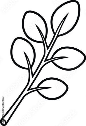 Vector simple moringa branch with leaves silhouette design