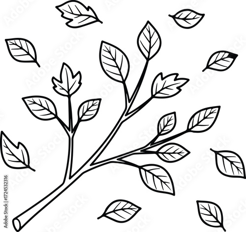Vector tree branch with leaves botanical autumn silhouette design