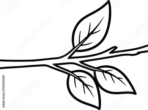 Vector tree branch with leaves outline style silhouette design